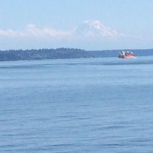 Meet your Posher, Zazie